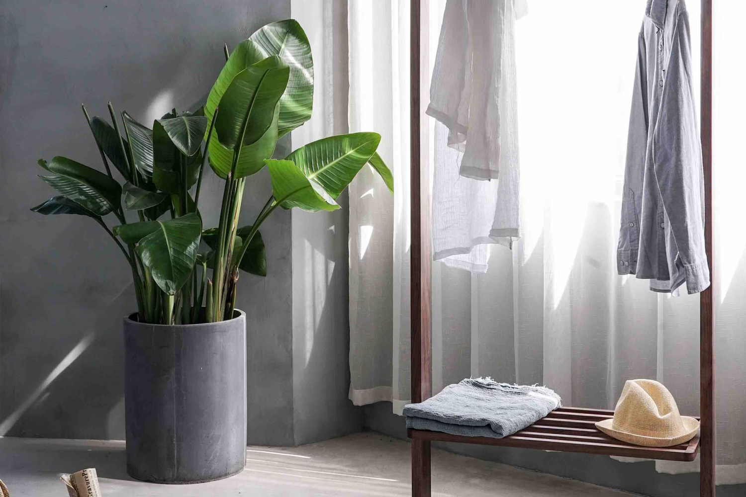Eco-Friendly Practices for Your Small Business